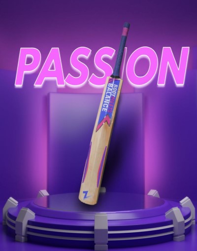 PASSION - GRADE 3 ENGLISH WILLOW